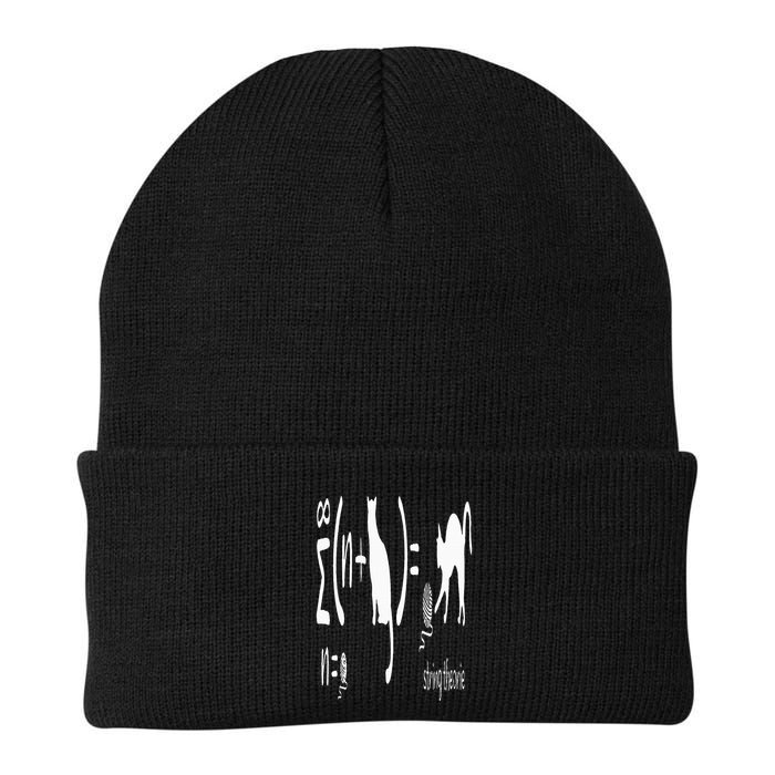 String Theory Science Nerd Physics Schrodinger's Cat Beanie