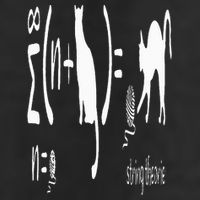 String Theory Science Nerd Physics Schrodinger's Cat Beanie