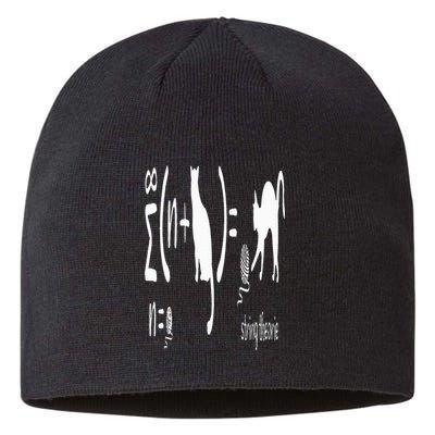 String Theory Science Nerd Physics Schrodinger's Cat Sustainable Beanie