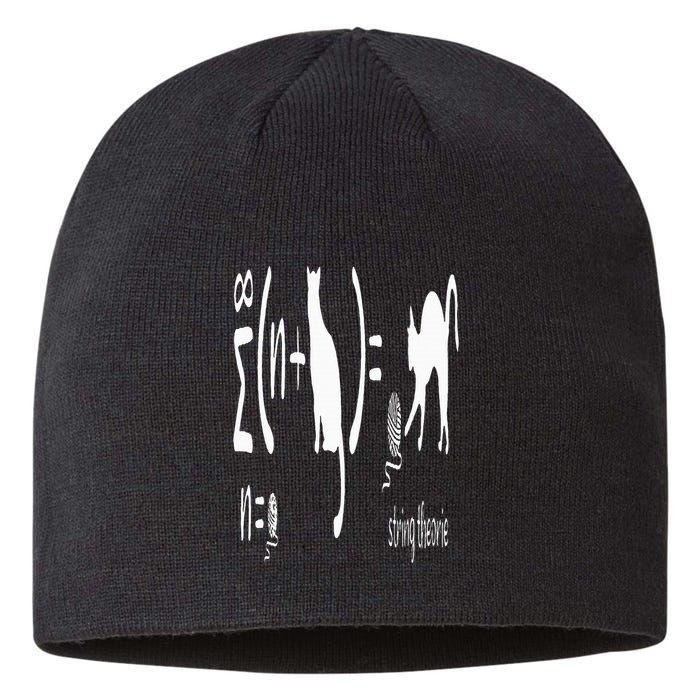 String Theory Science Nerd Physics Schrodinger's Cat Sustainable Beanie