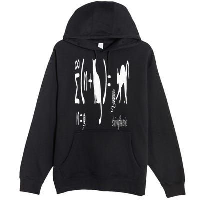 String Theory Science Nerd Physics Schrodinger's Cat Premium Pullover Hoodie