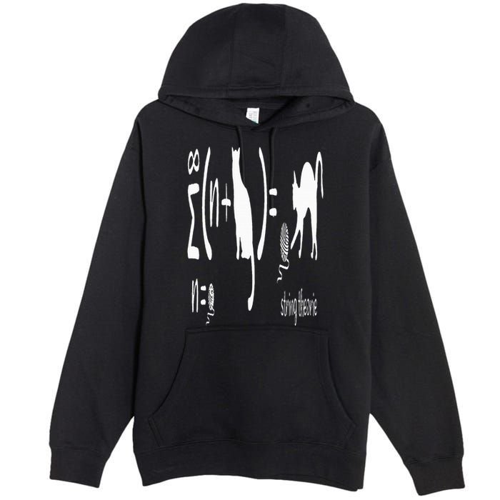 String Theory Science Nerd Physics Schrodinger's Cat Premium Pullover Hoodie
