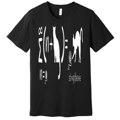 String Theory Science Nerd Physics Schrodinger's Cat Premium T-Shirt