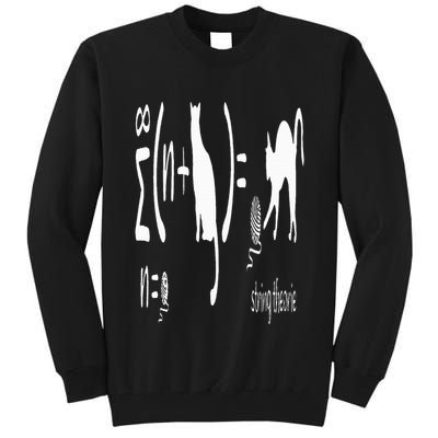 String Theory Science Nerd Physics Schrodinger's Cat Tall Sweatshirt