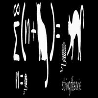 String Theory Science Nerd Physics Schrodinger's Cat Tall Sweatshirt