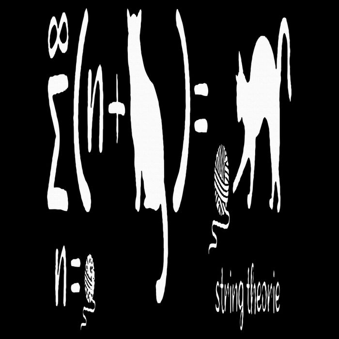 String Theory Science Nerd Physics Schrodinger's Cat Tall Sweatshirt