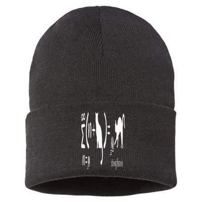 String Theory Science Nerd Physics Schrodinger's Cat Sustainable Knit Beanie