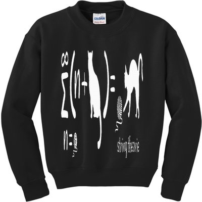 String Theory Science Nerd Physics Schrodinger's Cat Kids Sweatshirt