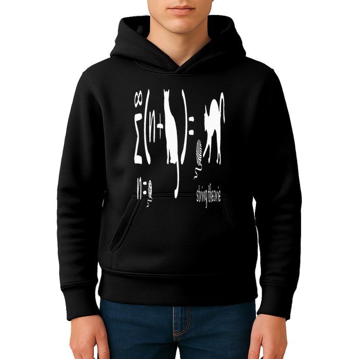 String Theory Science Nerd Physics Schrodinger's Cat Kids Hoodie