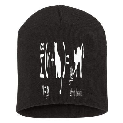 String Theory Science Nerd Physics Schrodinger's Cat Short Acrylic Beanie