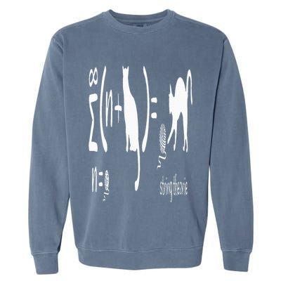 String Theory Science Nerd Physics Schrodinger's Cat Garment-Dyed Sweatshirt