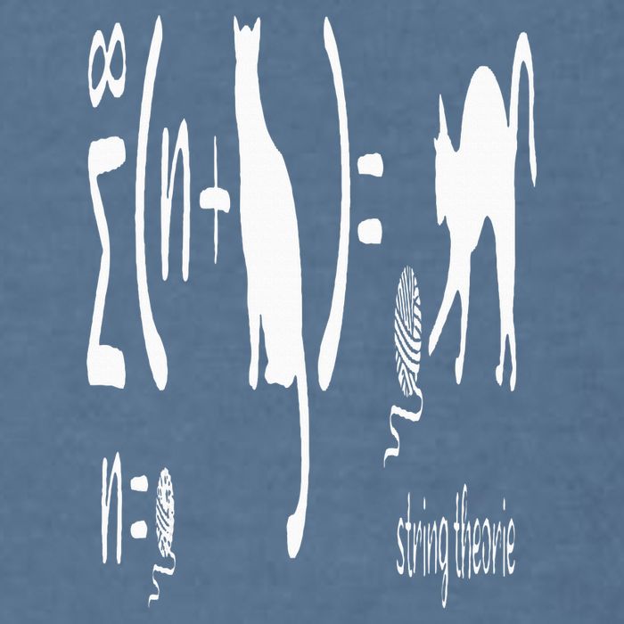 String Theory Science Nerd Physics Schrodinger's Cat Garment-Dyed Sweatshirt