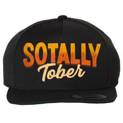 Sotally Tober Wool Snapback Cap