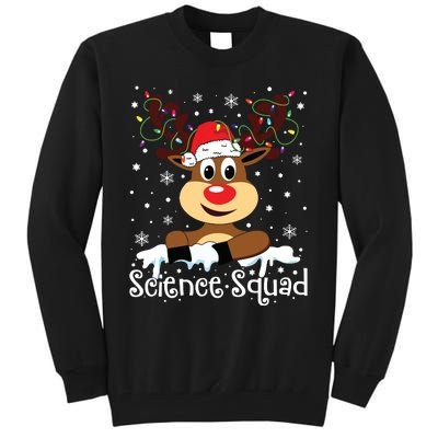 Science Teacher Squad Reindeer Christmas Teacher Xmas Lights Tall Sweatshirt