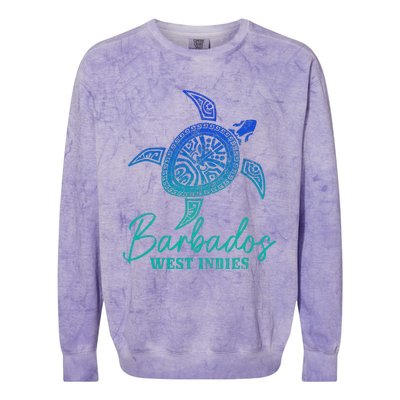 Swimming Turtle Scuba Diver Underwater Dive Diving Colorblast Crewneck Sweatshirt