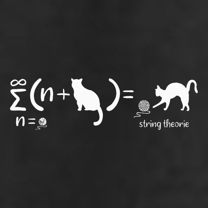 String Theory Science Nerd Physics SchrodingerS Cat Cool Comfort Performance Bucket Hat