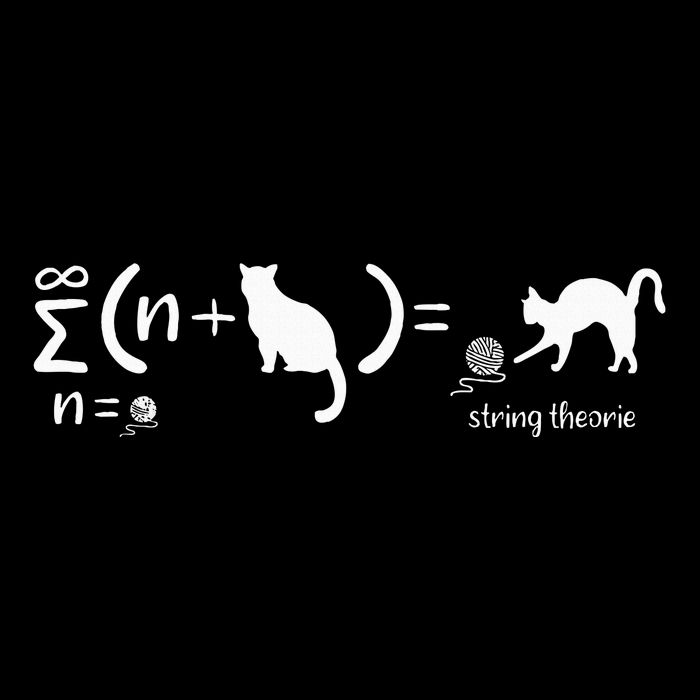 String Theory Science Nerd Physics SchrodingerS Cat T-Shirt
