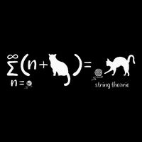 String Theory Science Nerd Physics SchrodingerS Cat Women's V-Neck T-Shirt