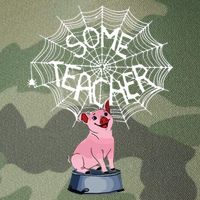 Some Teacher Spiderweb Pig Legacy Tie Dye Trucker Hat