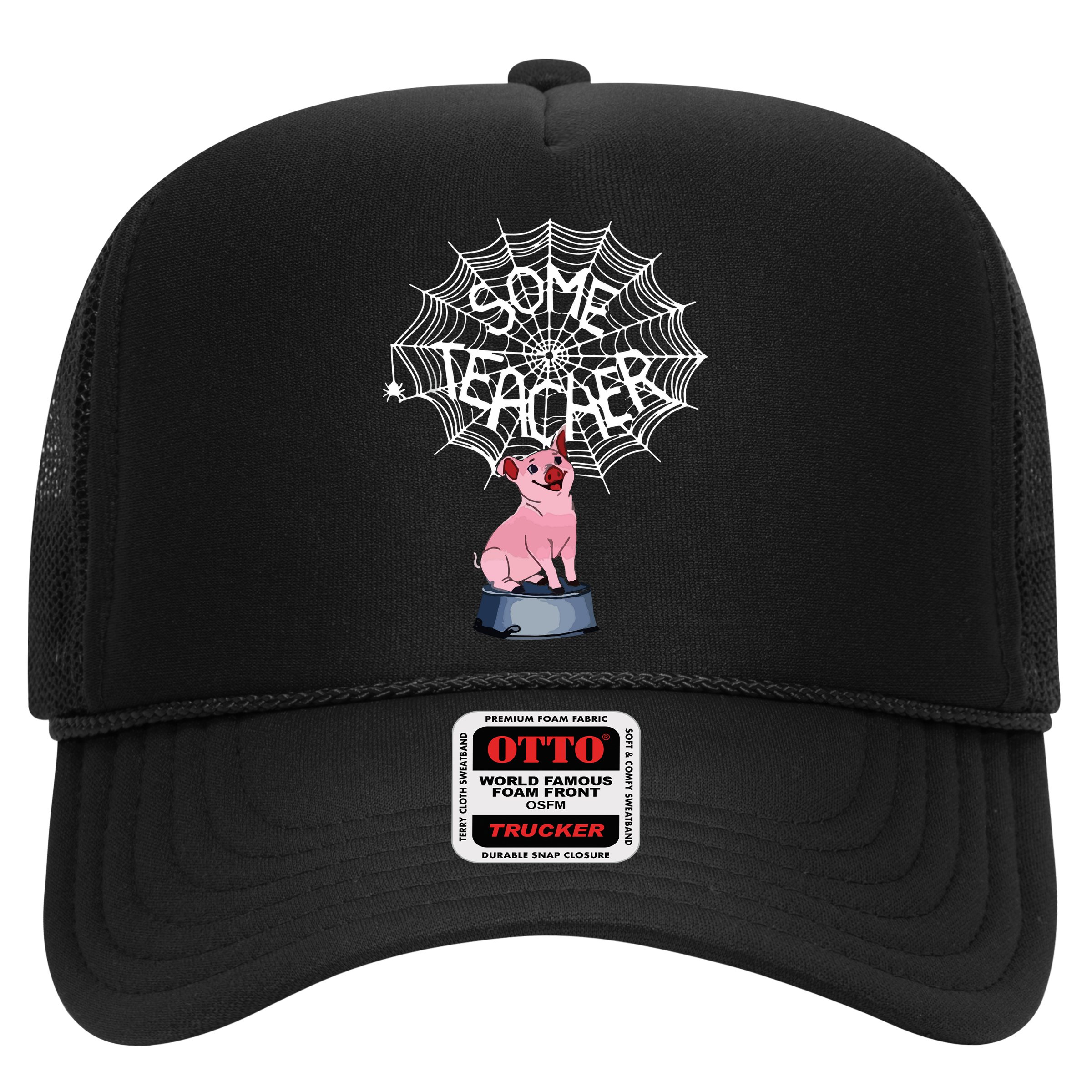 Some Teacher Spiderweb Pig Hat