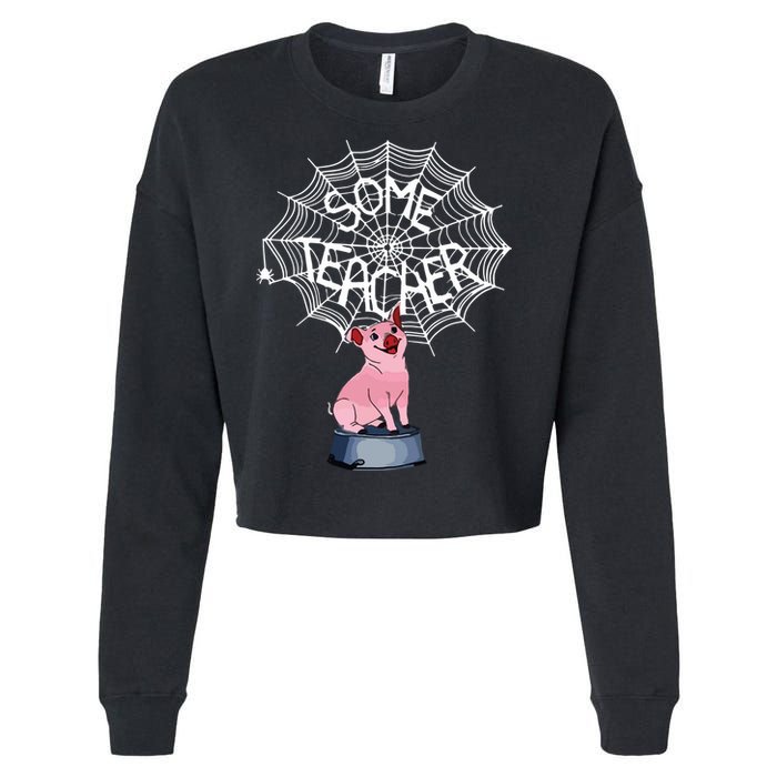 Some Teacher Spiderweb Pig Cropped Pullover Crew