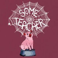 Some Teacher Spiderweb Pig 16oz Travel Tumbler