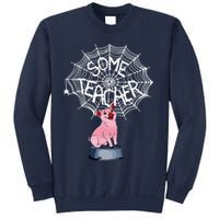 Some Teacher Spiderweb Pig Sweatshirt