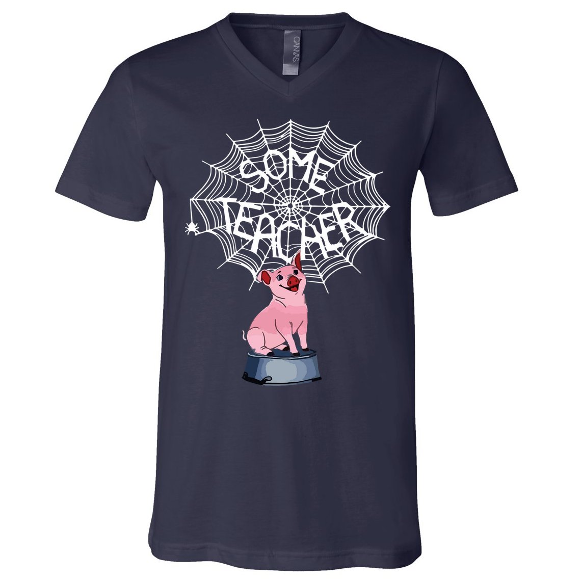 Some Teacher Spiderweb Pig V-Neck T-Shirt