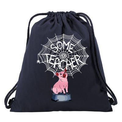Some Teacher Spiderweb Pig Drawstring Bag