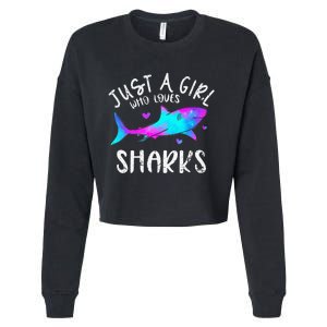 Shark Tshirt Shark Lover Tshirt Girls Funny Shark Cropped Pullover Crew