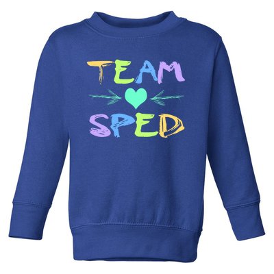 Sped Team Special Education Student Teacher Great Gift Toddler Sweatshirt