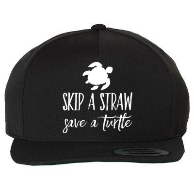 Sea Turtle Skip A Straw Save A Turtle Gift Wool Snapback Cap