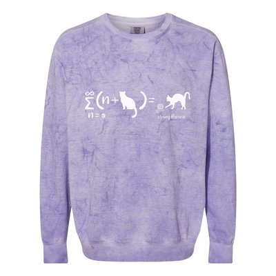 String Theory Science Nerd Physics Cat Colorblast Crewneck Sweatshirt