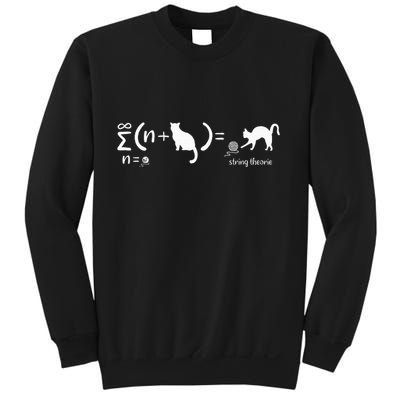 String Theory Science Nerd Physics Cat Sweatshirt