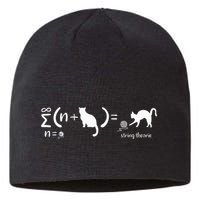 String Theory Science Nerd Physics Cat Sustainable Beanie