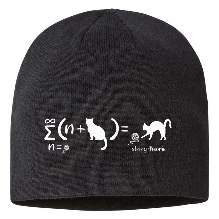 String Theory Science Nerd Physics Cat Sustainable Beanie