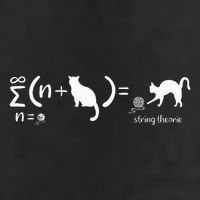 String Theory Science Nerd Physics Cat 25L Jumbo Tote
