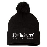 String Theory Science Nerd Physics Cat Pom Pom 12in Knit Beanie
