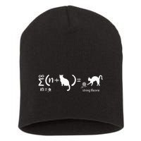 String Theory Science Nerd Physics Cat Short Acrylic Beanie