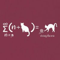 String Theory Science Nerd Physics Cat 16oz Travel Tumbler