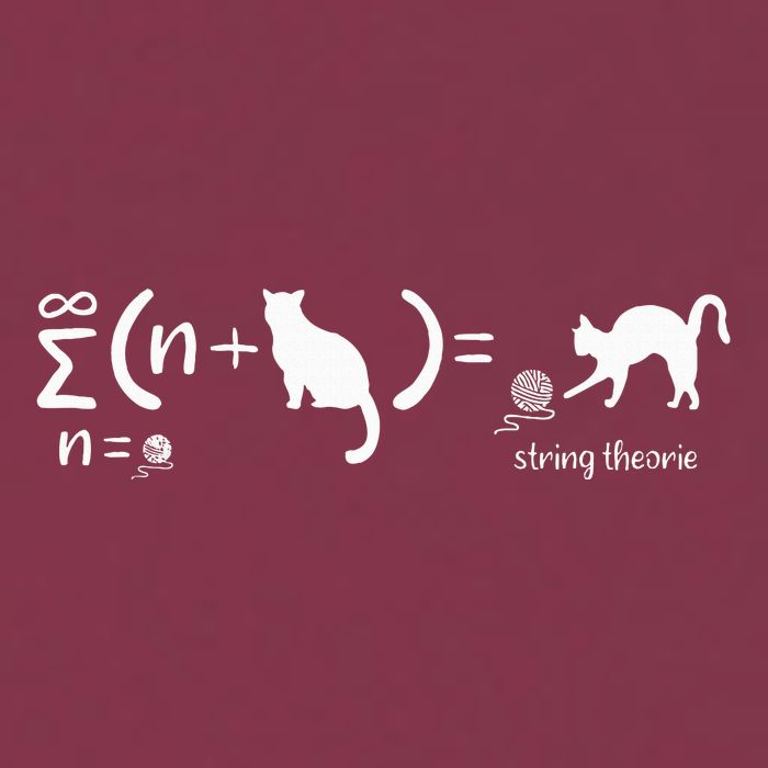 String Theory Science Nerd Physics Cat 16oz Travel Tumbler