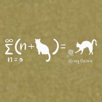 String Theory Science Nerd Physics Cat Garment-Dyed Women's Muscle Tee