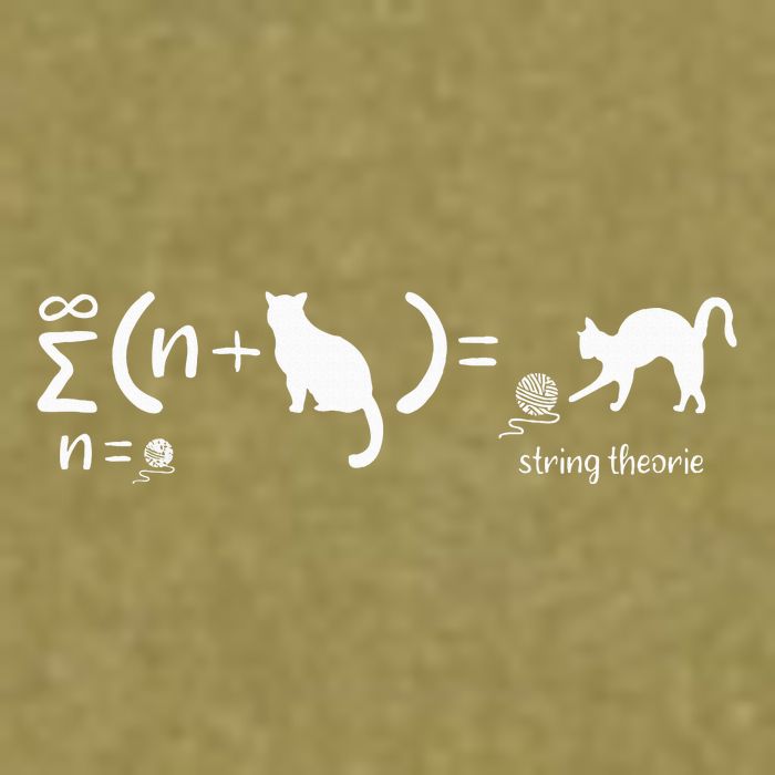 String Theory Science Nerd Physics Cat Garment-Dyed Women's Muscle Tee