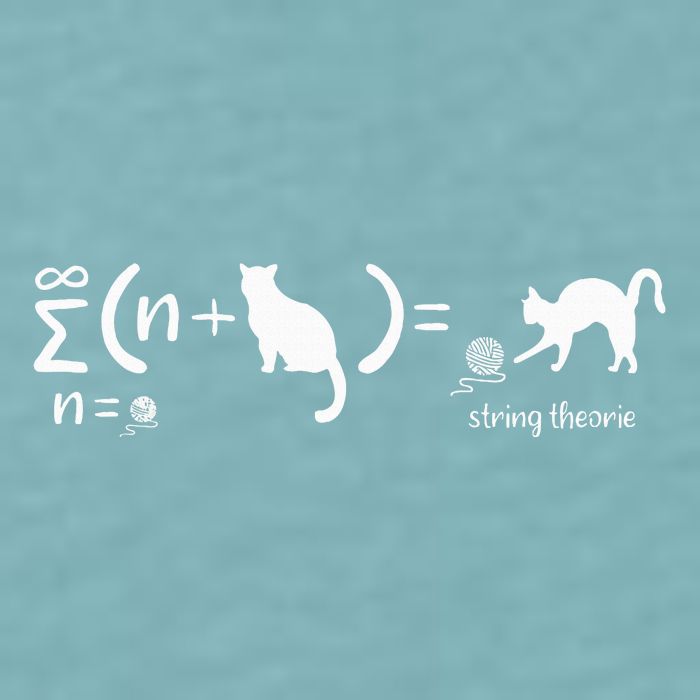 String Theory Science Nerd Physics Cat Sueded Cloud Jersey T-Shirt