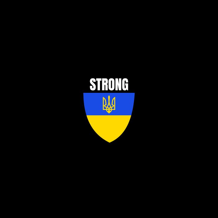 Strong Tactical Support Ukrainian Flag Shield I Stand With Ukraine Military 16 in Basic Backpack