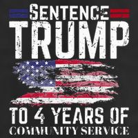 Sentence Trump To 4 Years Of Community Service Hat