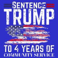 Sentence Trump To 4 Years Of Community Service 16 in Basic Backpack