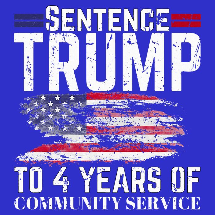 Sentence Trump To 4 Years Of Community Service 16 in Basic Backpack