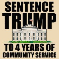 Sentence Trump To 4 Years Of Community Service Zip Tote Bag
