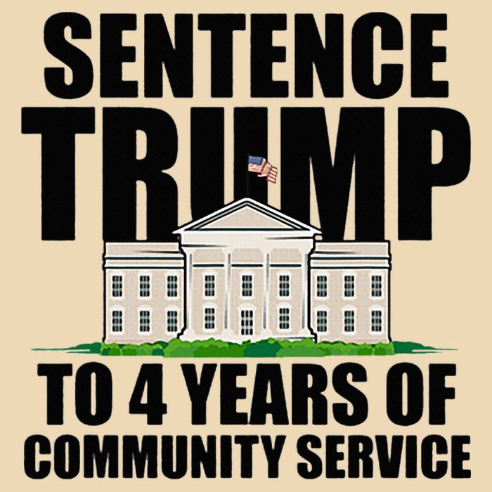Sentence Trump To 4 Years Of Community Service Zip Tote Bag
